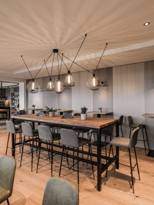 WIRO_MULTI_CEILING_SUSPENDED_Gady_Lebring_Austria_Elena_Egger(photographer)